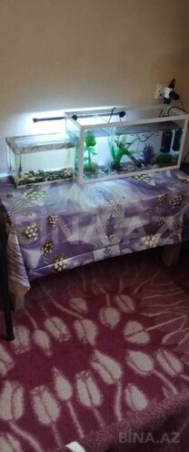 Сдаётся 1-комн. дом/дача 60 м², пос. Ази Асланова, photo 5 from 6