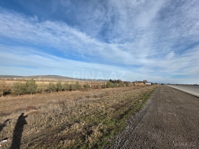 Satılır  torpaq 1 000 sot, Ələt q., photo 10 from 11