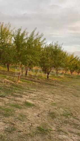 Продаётся  участок 1 200 сот, photo 3 from 4