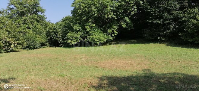 Продаётся  участок 82 сот, photo 5 from 10