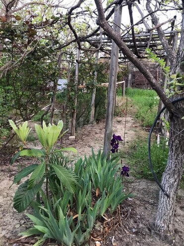 Продаётся  участок 4 сот, photo 4 from 8