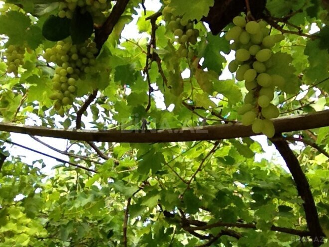 Продаётся  участок 4 сот, photo 5 from 8