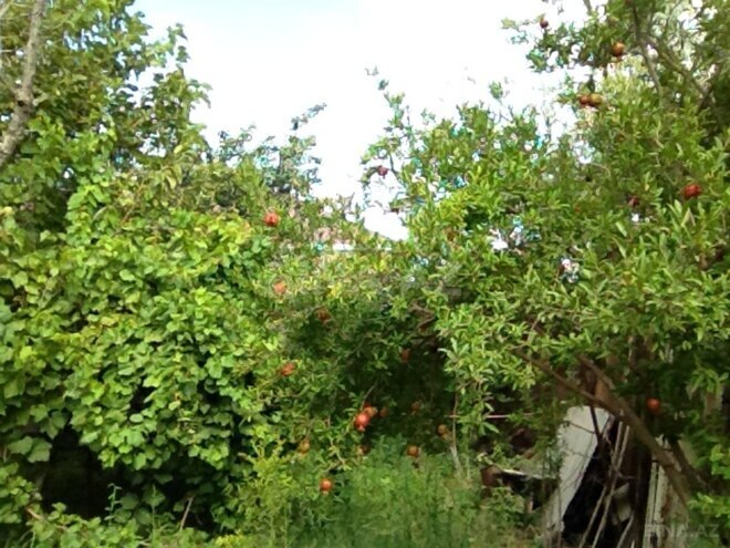 Продаётся  участок 4 сот, photo 6 from 8