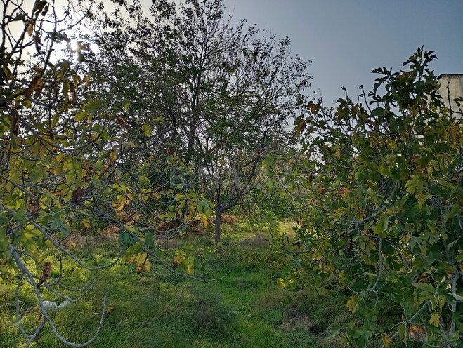 Продаётся  участок 6 сот, пос. Фатмаи, photo 7 from 12