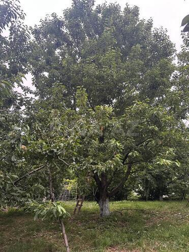 Продаётся  участок 10.5 сот, photo 8 from 9