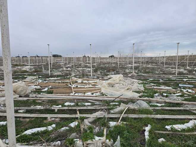 Satılır  torpaq 140 sot, Buzovna q., photo 7 from 10