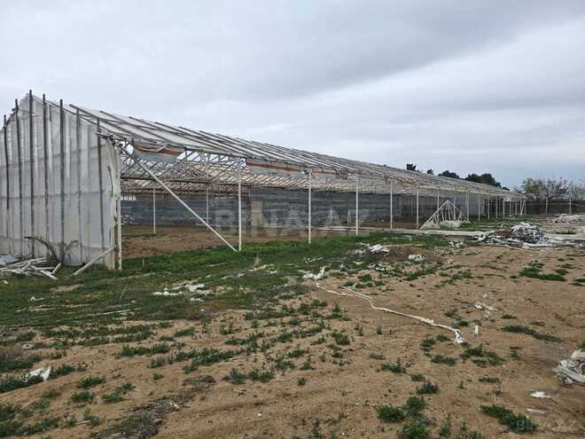 Satılır  torpaq 140 sot, Buzovna q., photo 4 from 10