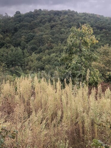 Satılır  torpaq 3 sot, photo 6 from 7