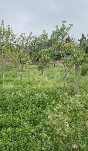 Продаётся  участок 5 сот, пос. Фатмаи, photo 3 from 6