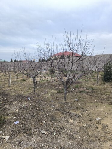 Продаётся  участок 3 сот, пос. Горадил, photo 6 from 7