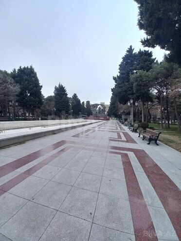 Продаётся 4-комн. новостройка 152.8 м², м. Элмляр Академиясы, photo 4 from 26