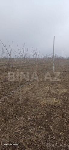 Продаётся  участок 122 сот, photo 12 from 19