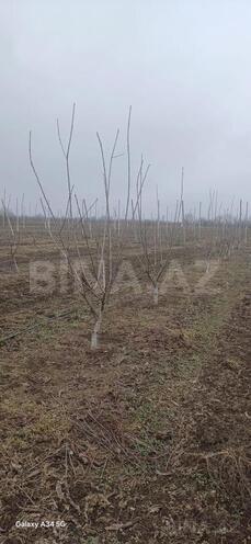 Продаётся  участок 122 сот, photo 15 from 19