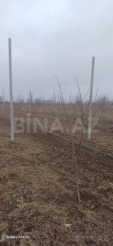 Продаётся  участок 122 сот, photo 13 from 19