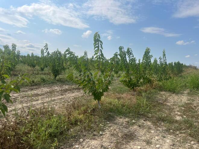 Продаётся  участок 122 сот, photo 8 from 19