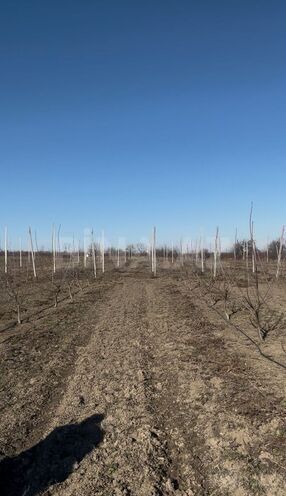 Продаётся  участок 122 сот, photo 17 from 19