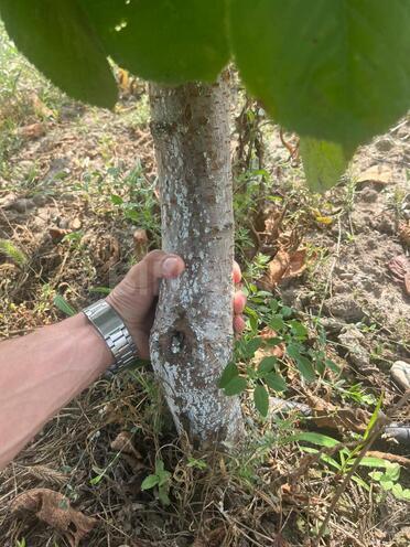 Продаётся  участок 122 сот, photo 7 from 19