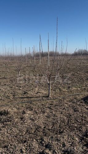 Продаётся  участок 122 сот, photo 18 from 19