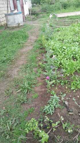 Satılır 1 otaqlı həyət evi/bağ evi 25 m², photo 5 from 20