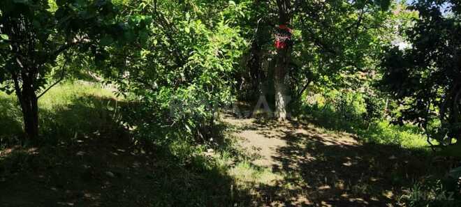 Satılır 3 otaqlı həyət evi/bağ evi 55 m², Biləcəri q., photo 6 from 12