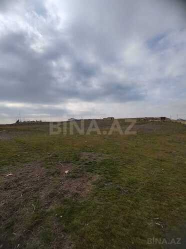 Продаётся  участок 100 сот, пос. Масазыр, photo 5 from 7