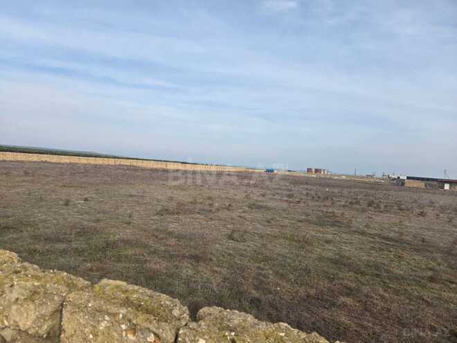 Satılır  torpaq 50 sot, Ələt q., photo 7 from 10