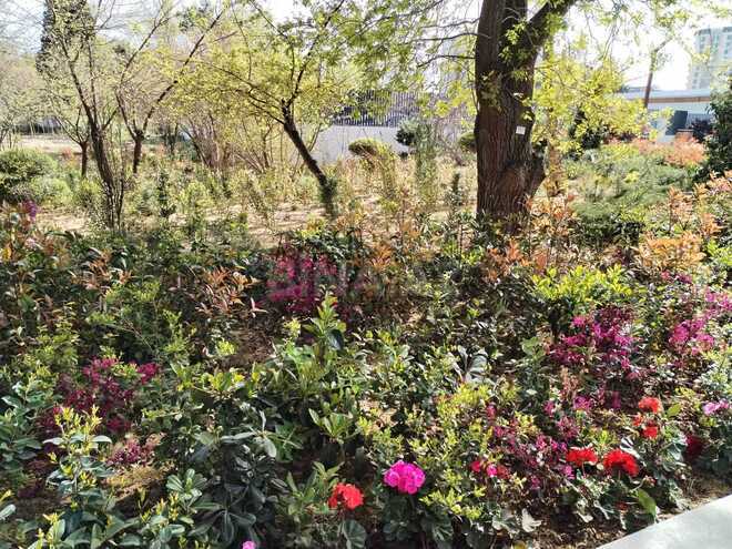 Продаётся 5-комн. дом/дача 130 м², пос. Бина, photo 29 from 32