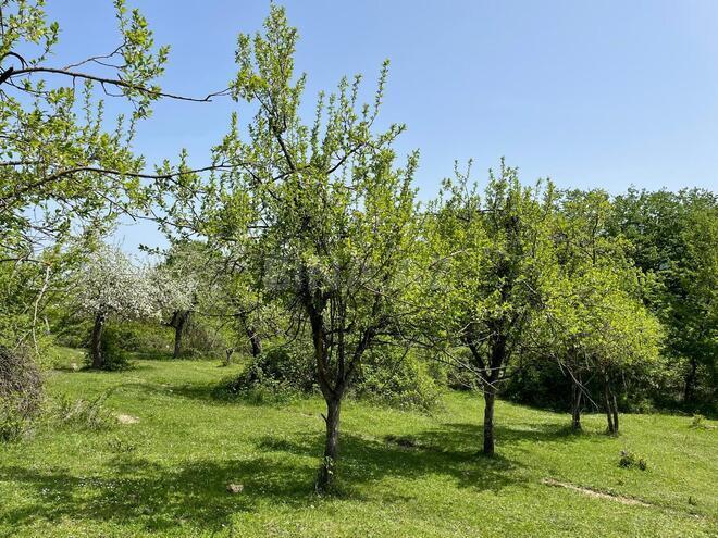 Продаётся  участок 138 сот, photo 4 from 6