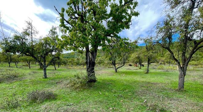 Продаётся  участок 138 сот, photo 5 from 6