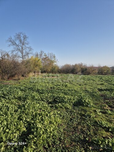 Продаётся  участок 12.5 сот, photo 8 from 11