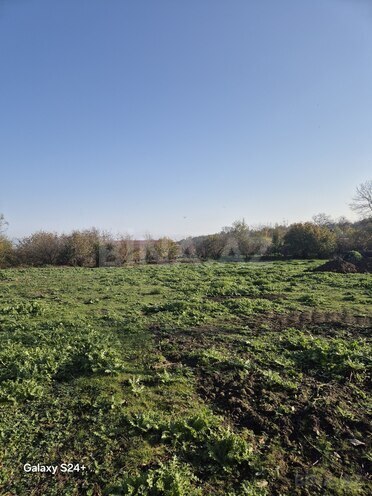 Продаётся  участок 12.5 сот, photo 7 from 11