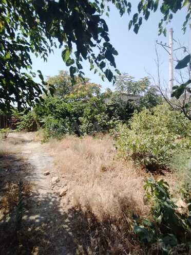 Продаётся  участок 2 сот, пос. Бакиханова, photo 4 from 7