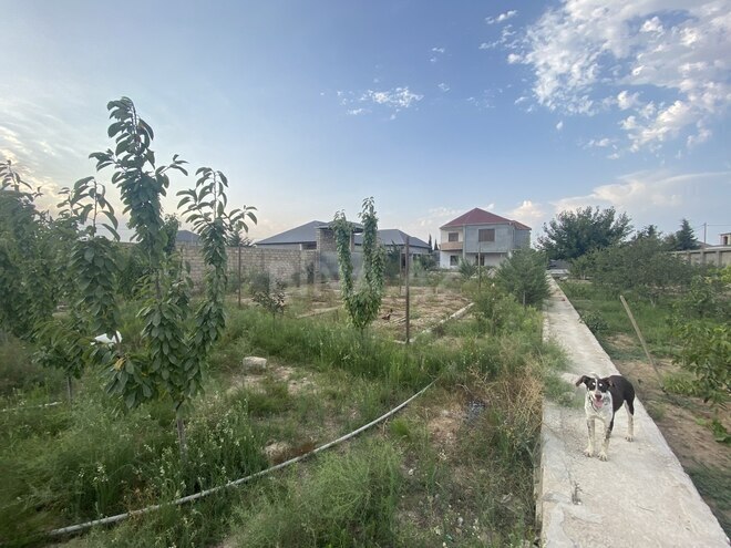 Продаётся  участок 4 сот, пос. Шувеляны, photo 10 from 12