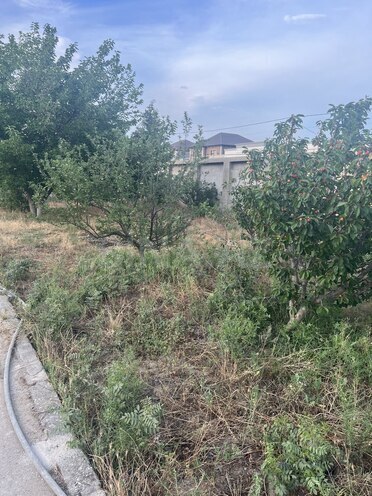 Продаётся  участок 4 сот, пос. Шувеляны, photo 4 from 12