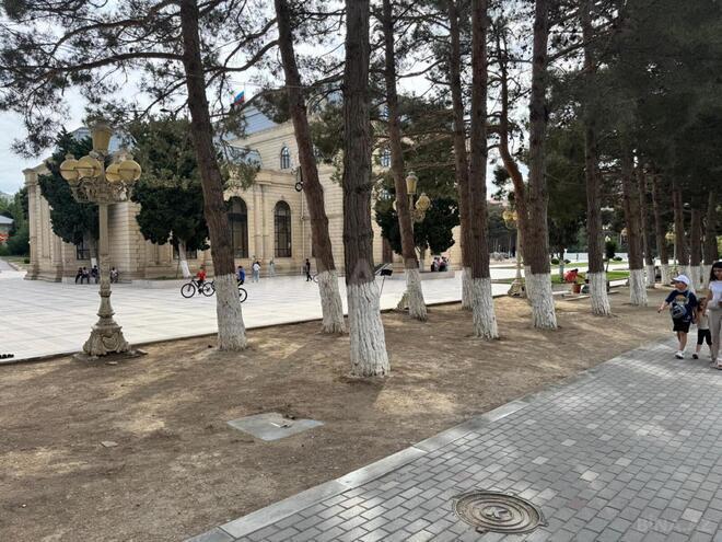 Satılır  obyekt 40 m², Abşeron r., photo 10 from 12