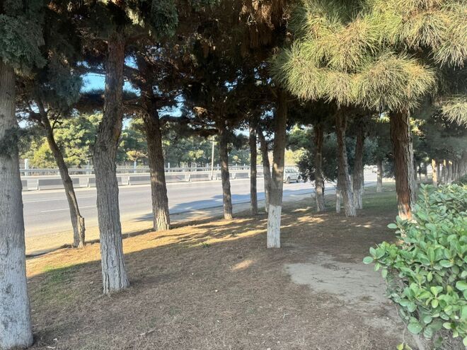 Satılır  torpaq 7 sot, Avtovağzal m., photo 5 from 7