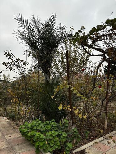 Satılır 4 otaqlı həyət evi/bağ evi 160 m², Suraxanı r., photo 5 from 19