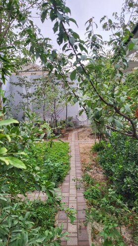 Сдаётся 4-комн. дом/дача 120 м², Абшеронcкий  р., photo 7 from 18