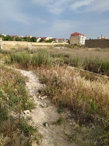 Продаётся  участок 62 сот, м. Ичеришехер, photo 5 from 6