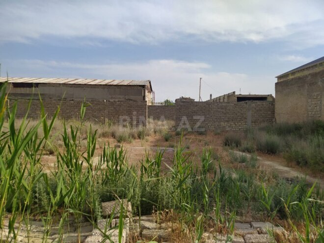 Продаётся  участок 62 сот, м. Ичеришехер, photo 4 from 6