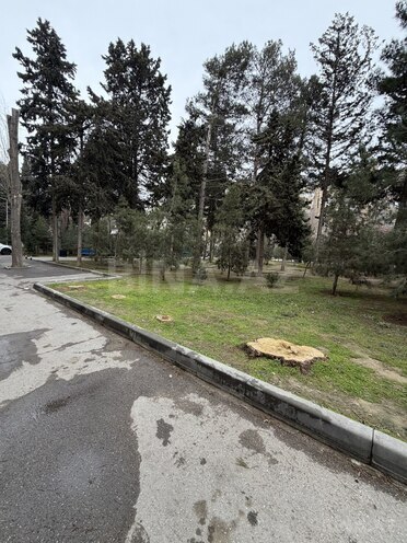 Satılır 1 otaqlı köhnə tikili 35 m², Elmlər Akademiyası m., photo 10 from 11