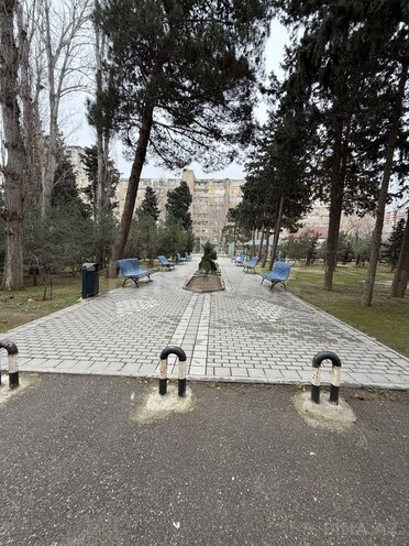 Satılır 1 otaqlı köhnə tikili 35 m², Elmlər Akademiyası m., photo 8 from 11