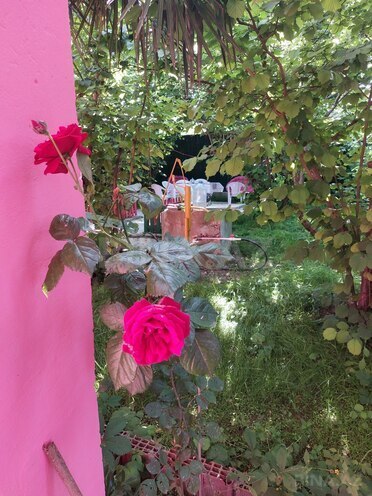 Satılır 3 otaqlı həyət evi/bağ evi 80 m², Nabran r., photo 19 from 31