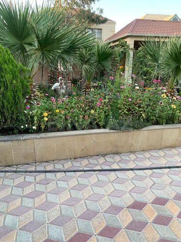 Продаётся 9-комн. дом/дача 650 м², пос. М. Расулзаде, photo 10 from 22