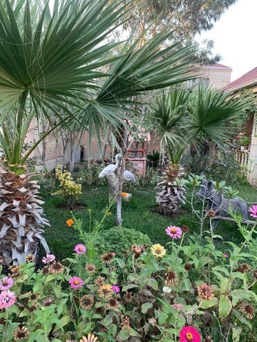 Продаётся 9-комн. дом/дача 650 м², пос. М. Расулзаде, photo 8 from 22