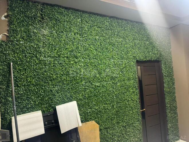 Сдаётся  объект 270 м², м. Мемар Аджеми, photo 9 from 14