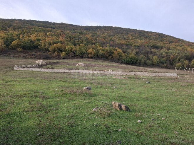 Satılır  torpaq 12 sot, photo 10 from 11