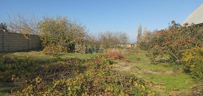 Satılır  torpaq 24 sot, Görədil q., photo 10 from 11
