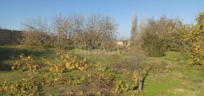 Satılır  torpaq 24 sot, Görədil q., photo 8 from 11