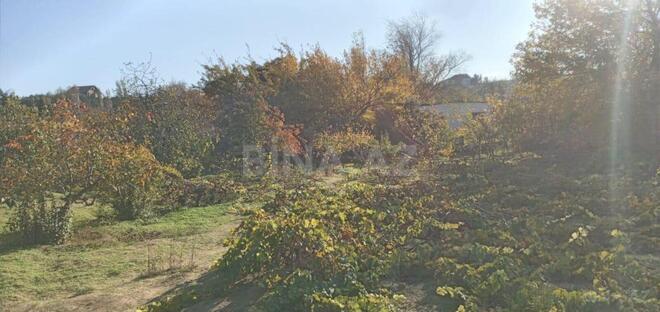 Satılır  torpaq 24 sot, Görədil q., photo 5 from 11